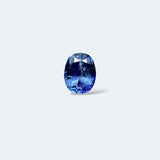 Blue Sapphire - 1.80ct