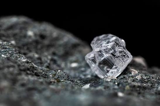 TAGS Tender Delivers Stronger-Than-Expected Rough Prices
