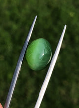 Nephrite Jade Cat’s Eye - 13.8ct