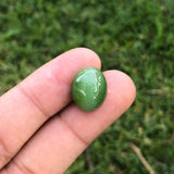 Nephrite Jade Cat’s Eye - 13.8ct