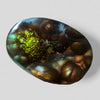 Mexican Fire Agate -19ct