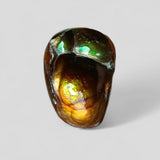 Mexican Fire Agate - 7.8ct