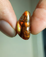 Mexican Fire Agate -10ct