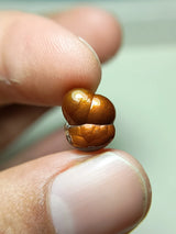 Mexican Fire Agate -4.3 ct