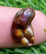 Mexican Fire Agate -7.5ct