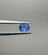 Blue Sapphire - 1.15ct