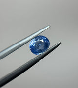 Blue Sapphire - 1.39ct
