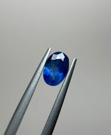 Blue Sapphire - 1.60ct