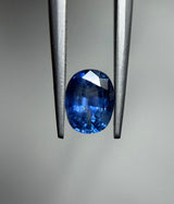 Blue Sapphire - 1.80ct