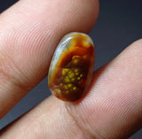 Mexican Fire Agate - 6.3ct