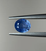 Blue Sapphire - 1.60ct
