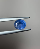Blue Sapphire - 1.60ct