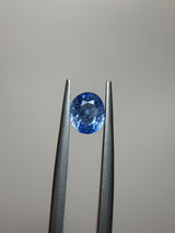 Blue Sapphire - 1.39ct