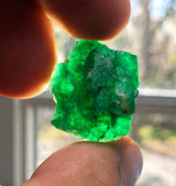 Swat Emerald 49.50 ct