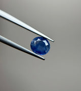 Blue Sapphire - 2.00ct