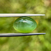 Nephrite Jade Cat’s Eye - 9.1ct