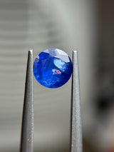 Blue Sapphire - 1.65ct