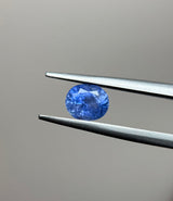 Blue Sapphire - 1.45ct