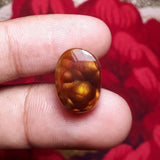 Mexican Fire Agate -14.1ct