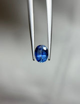 Blue Sapphire - 1.80ct