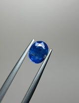 Blue Sapphire - 1.95ct