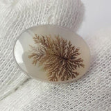 Dendritic Agate - 5.8ct