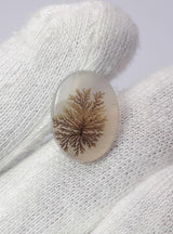 Dendritic Agate - 5.8ct