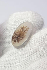 Dendritic Agate - 5.8ct