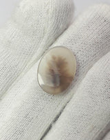 Dendritic Agate - 5.8ct