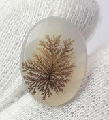 Dendritic Agate - 5.8ct
