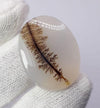 Dendritic Agate - 27.6ct