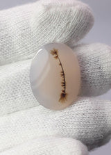 Dendritic Agate - 19.1ct