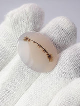 Dendritic Agate - 19.1ct
