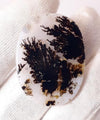 Dendritic Agate - 34.9ct