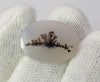 Dendritic Agate - 13.4ct
