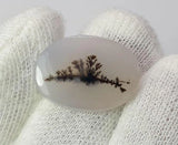 Dendritic Agate - 13.4ct