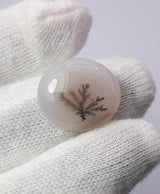 Dendritic Agate - 16.8ct