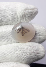 Dendritic Agate - 16.8ct