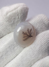 Dendritic Agate - 16.8ct