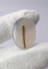 Dendritic Agate - 22.1ct