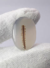 Dendritic Agate - 22.1ct
