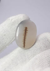 Dendritic Agate - 22.1ct