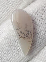 Dendritic Agate - 4.2ct