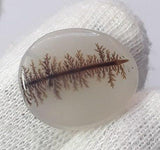 Dendritic Agate - 10.8ct
