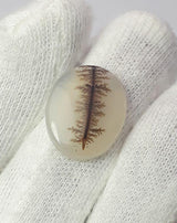Dendritic Agate - 10.8ct