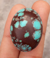 Egyptian turquoise - 51ct