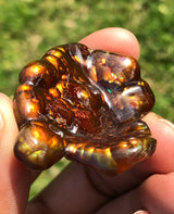 Collector Grade Mexican Fire Agate -95ct