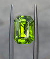Peridot - 6.5ct