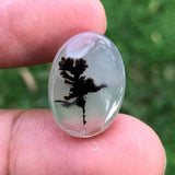 Dendritic Agate - 9.7ct