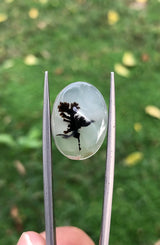 Dendritic Agate - 9.7ct